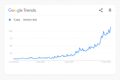 GOOGLE TREND - COMPRENDI I TREND E PRODOTTI SUL QUALE PUNTARE